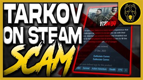 escape from tarkov revenue|who owns battlestate games.
